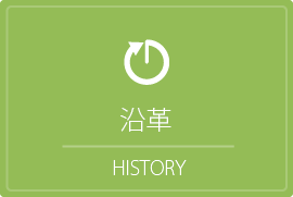 ライトニックス株式会社の沿革