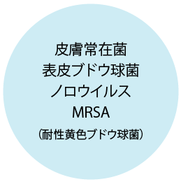 皮膚常在菌・表皮ブドウ球菌・ノロウイルス・MRSA・（耐性黄色ブドウ球菌）