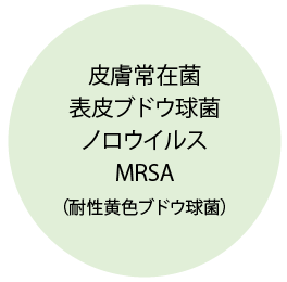 皮膚常在菌・表皮ブドウ球菌・ノロウイルス・MRSA・（耐性黄色ブドウ球菌）